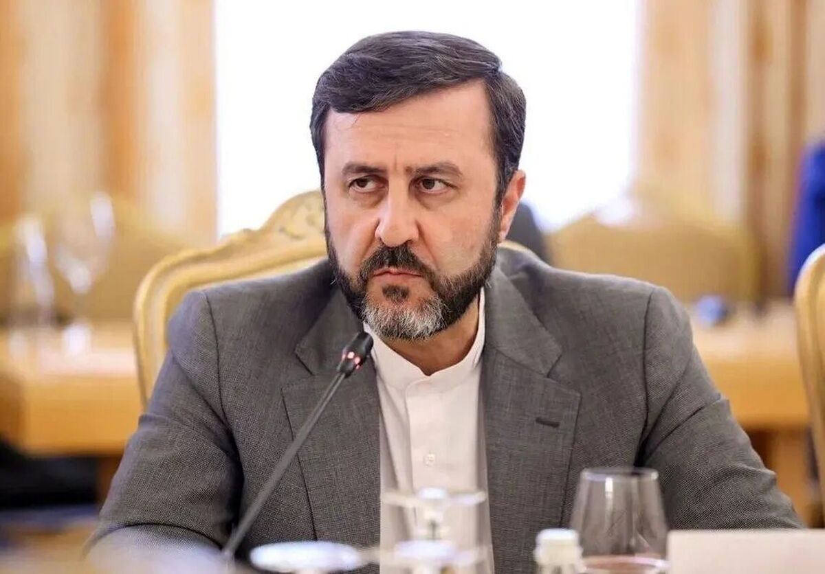 معاون وزیر خارجه: موضوع هسته‌ای بهانه است/ خصومت دشمنان ناشی از استقلال و پیشرفت‌ ایران است