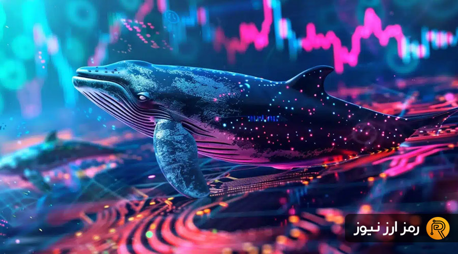 انباشت نهنگها در بازار نزولی؛ ۳ توکن که در تیررس هستند! انباشت نهنگها در بازار نزولی؛ ۳ توکن که در تیررس هستند!