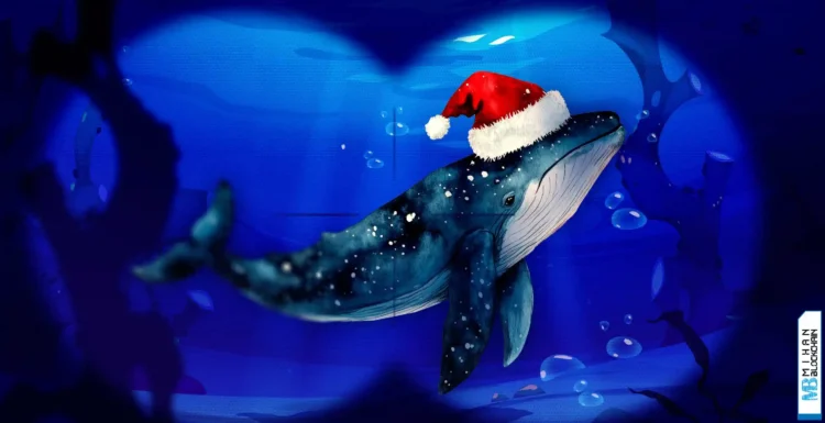 توقف فروش هولدرهای قدیمی بیت کوین؛ نهنگ‌های اتریوم در حال جمع‌آوری هستند